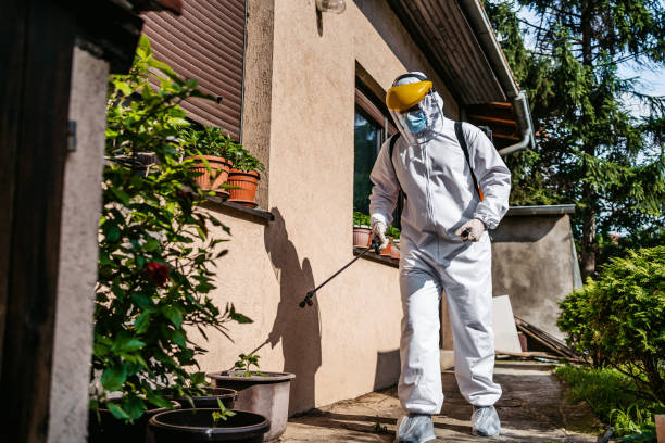 Professional Pest Control in Millvale, PA