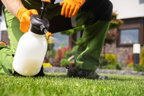 Best Pest Control for Businesses  in Millvale, PA