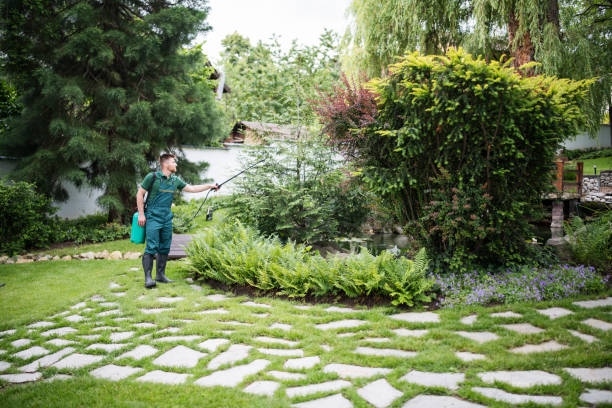 Professional Pest Control in Millvale, PA